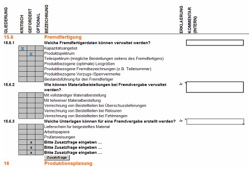 erp lastenheft